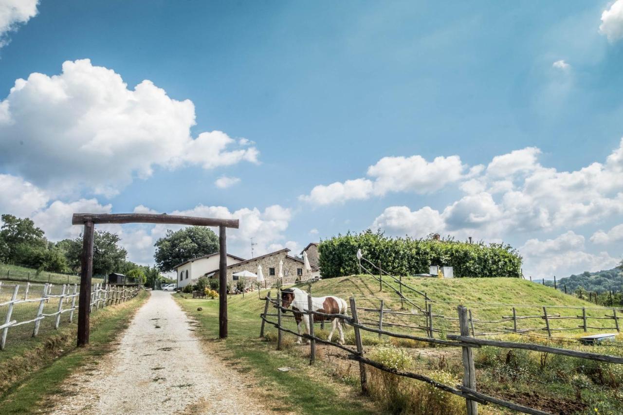 Agriturismo Goccia Di Luna Umbertide Exterior foto